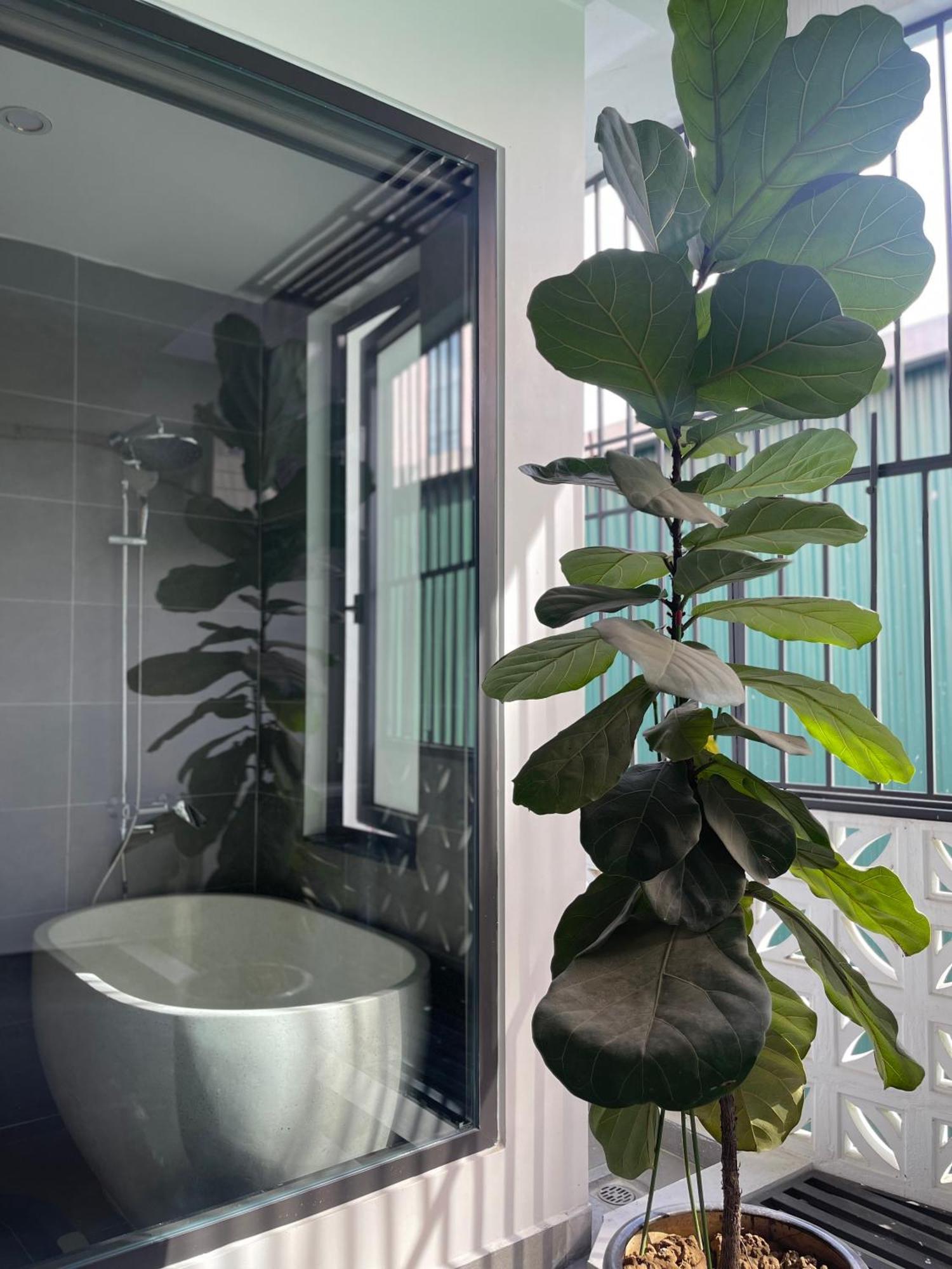Alala Homestay- Tuyen Quang City Center- Trung Tam Thanh Pho Tuyen Quang Exterior photo